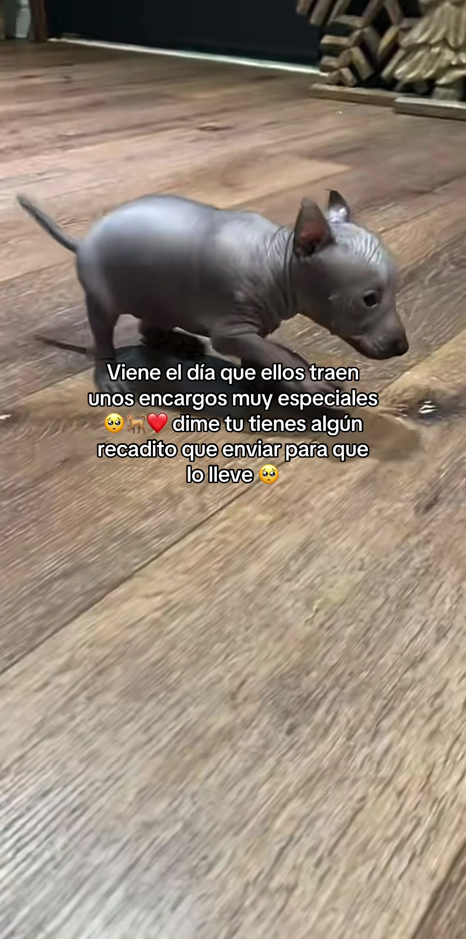 @Srj,Richar 💎