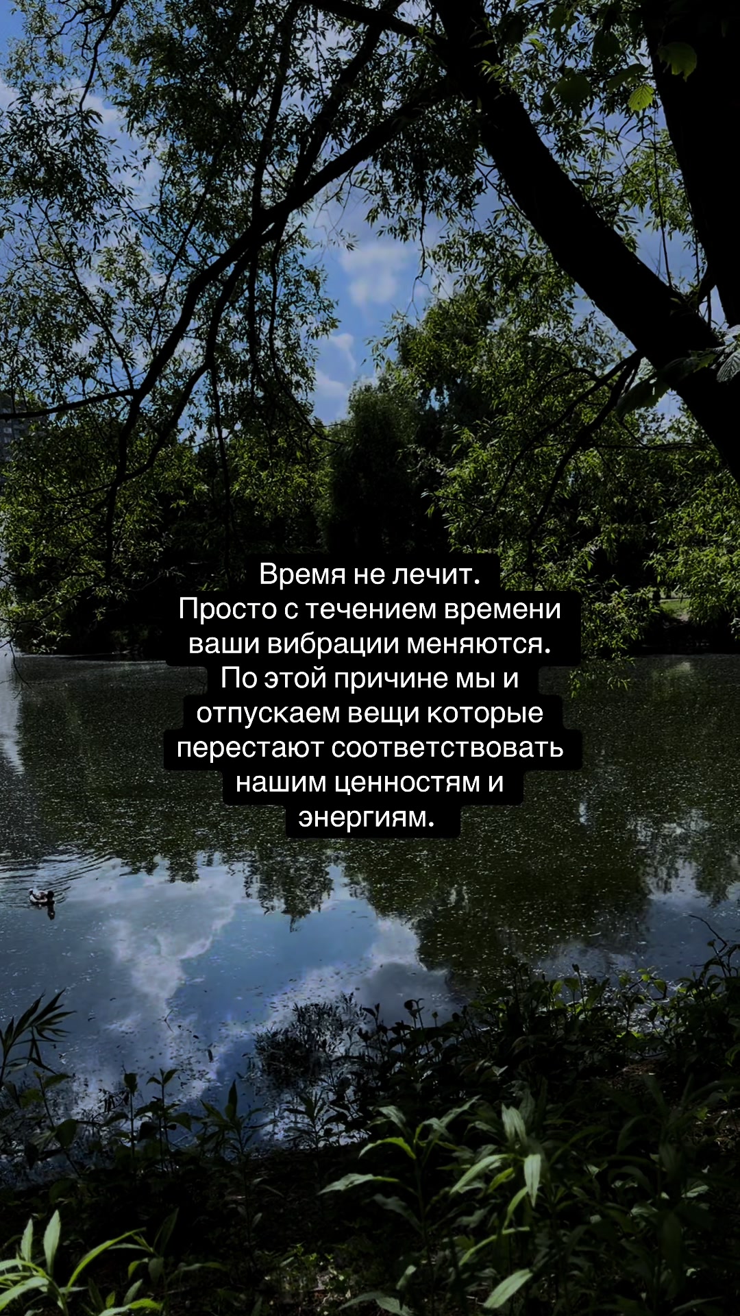 @🐉👁️ Гримуар Роуз 🩻🔮