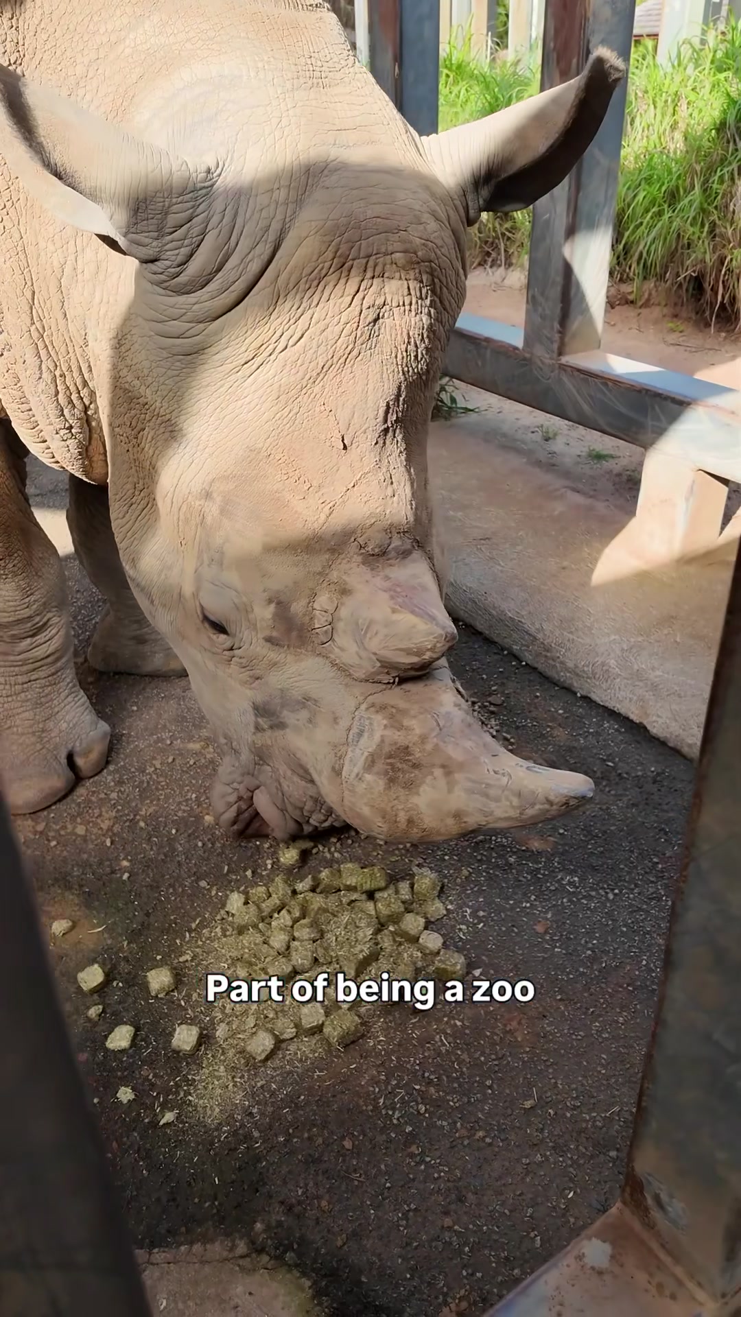@Perth Zoo