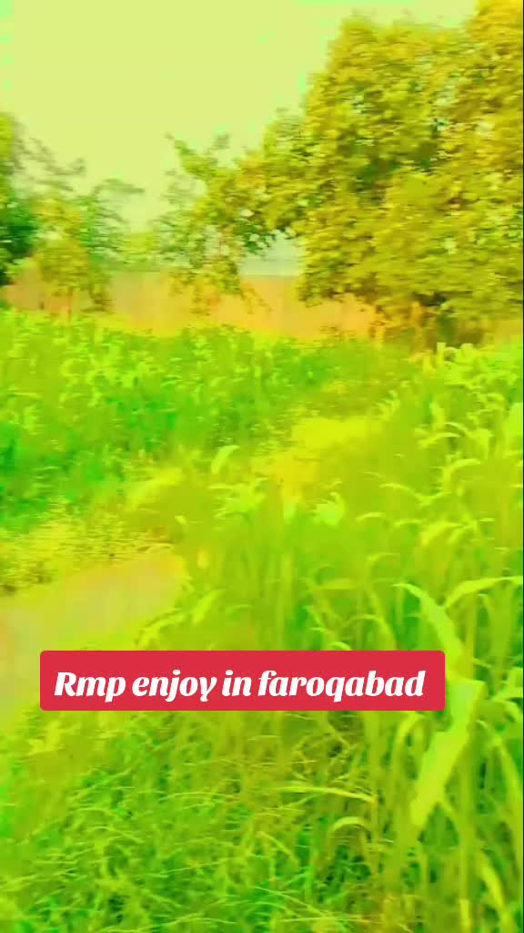 @RMP (نام ہے کافی ہے )