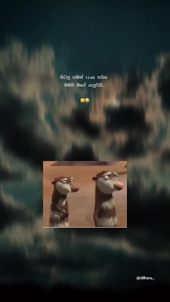 @@dilhara...🤍🫀