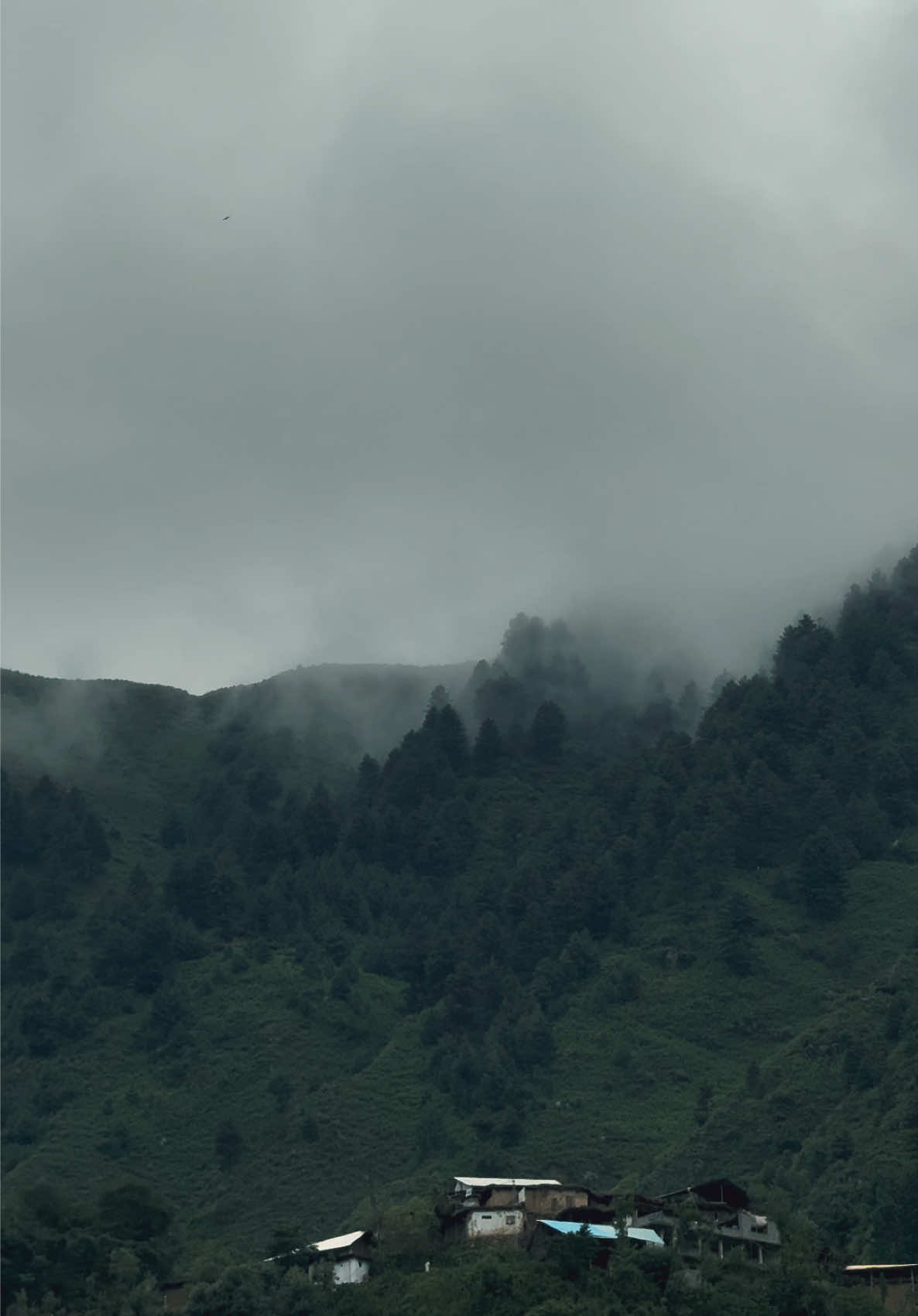 @🍁غنی خان🍁