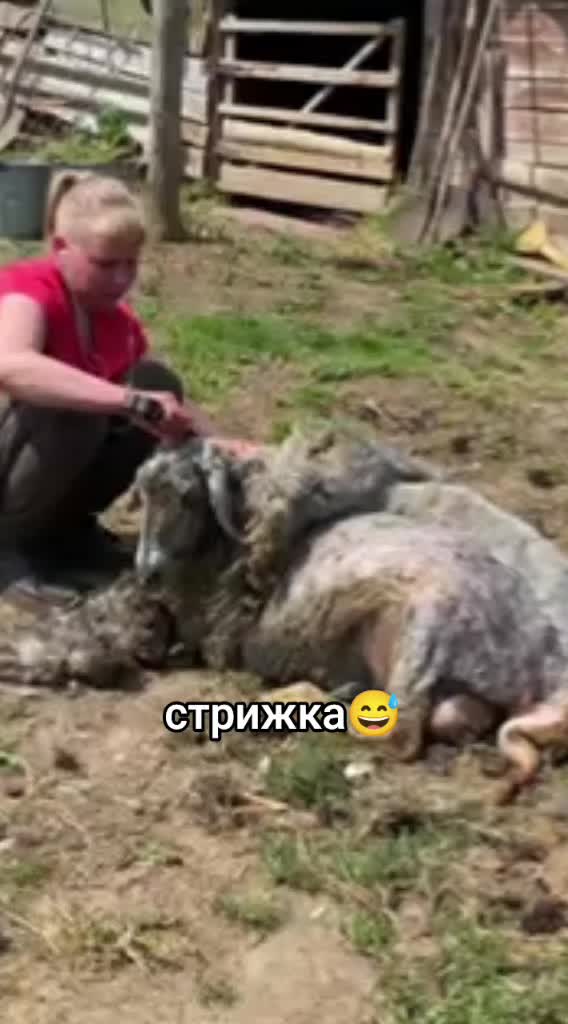 @Аnichka87