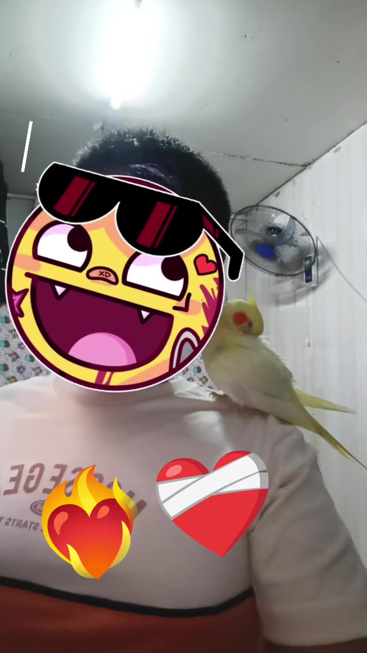 @๐ป๐๏ธ๐ฎ๐JESUS_EDITOR๐๐ฎ๐๏ธ๐ป