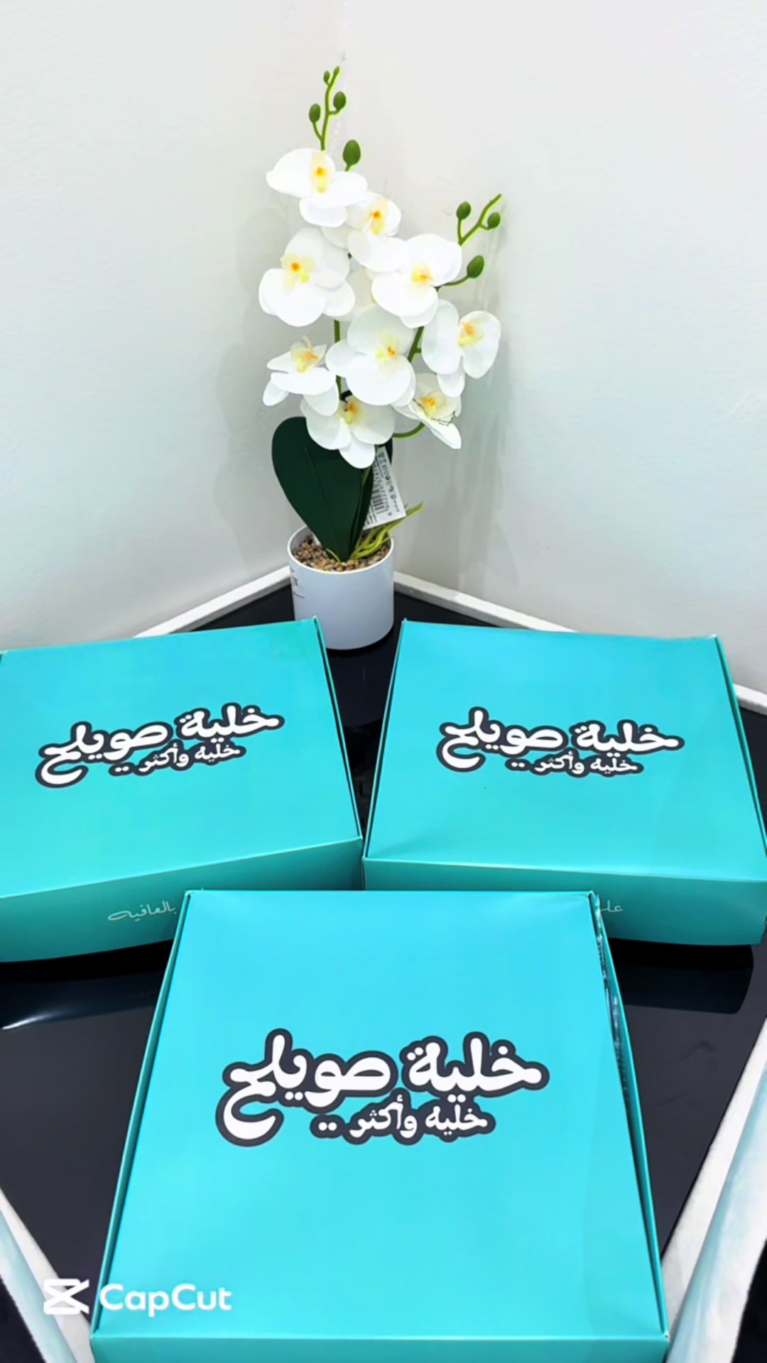 @ضحـى✨