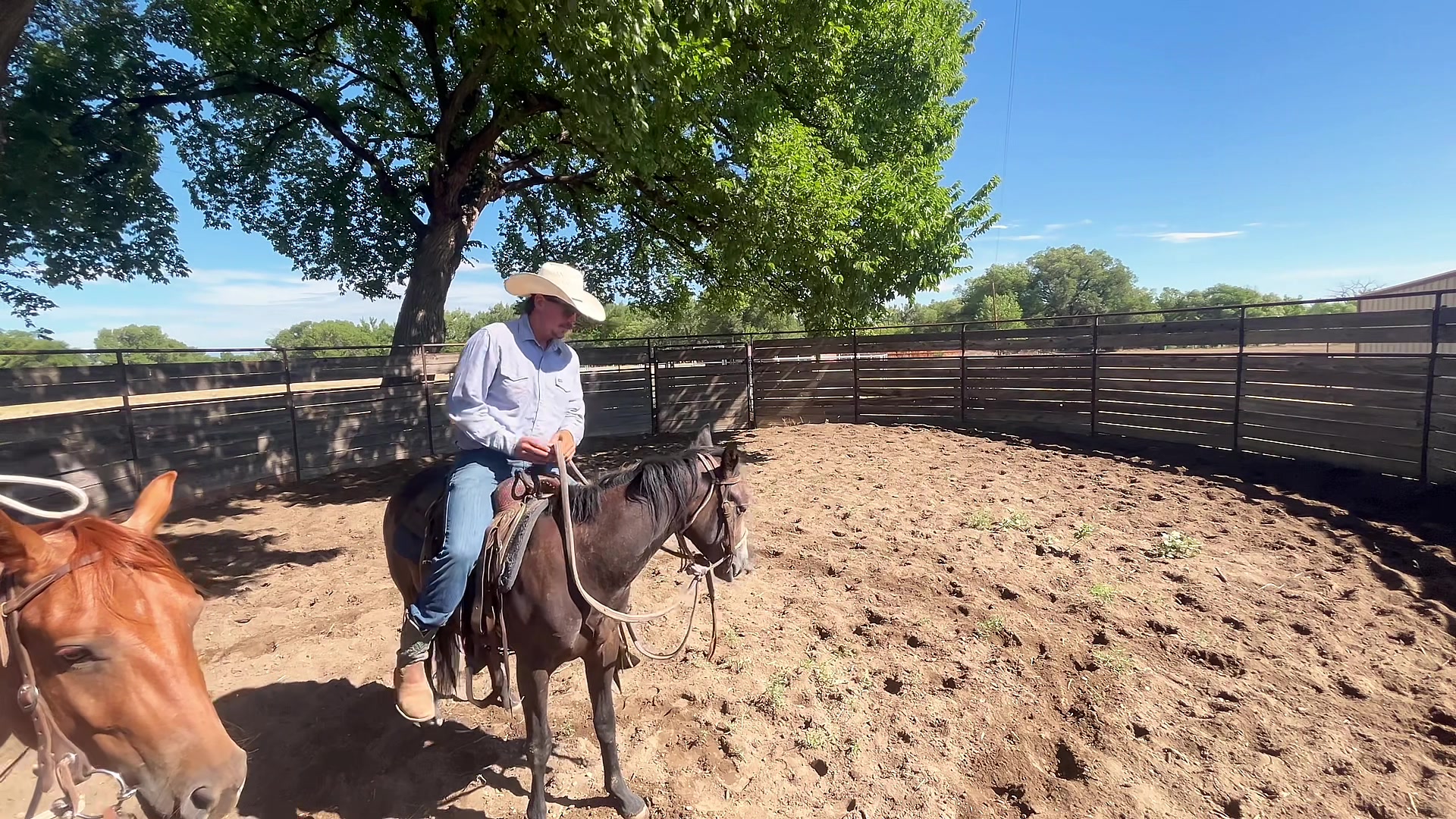 @cowgirlcommentary