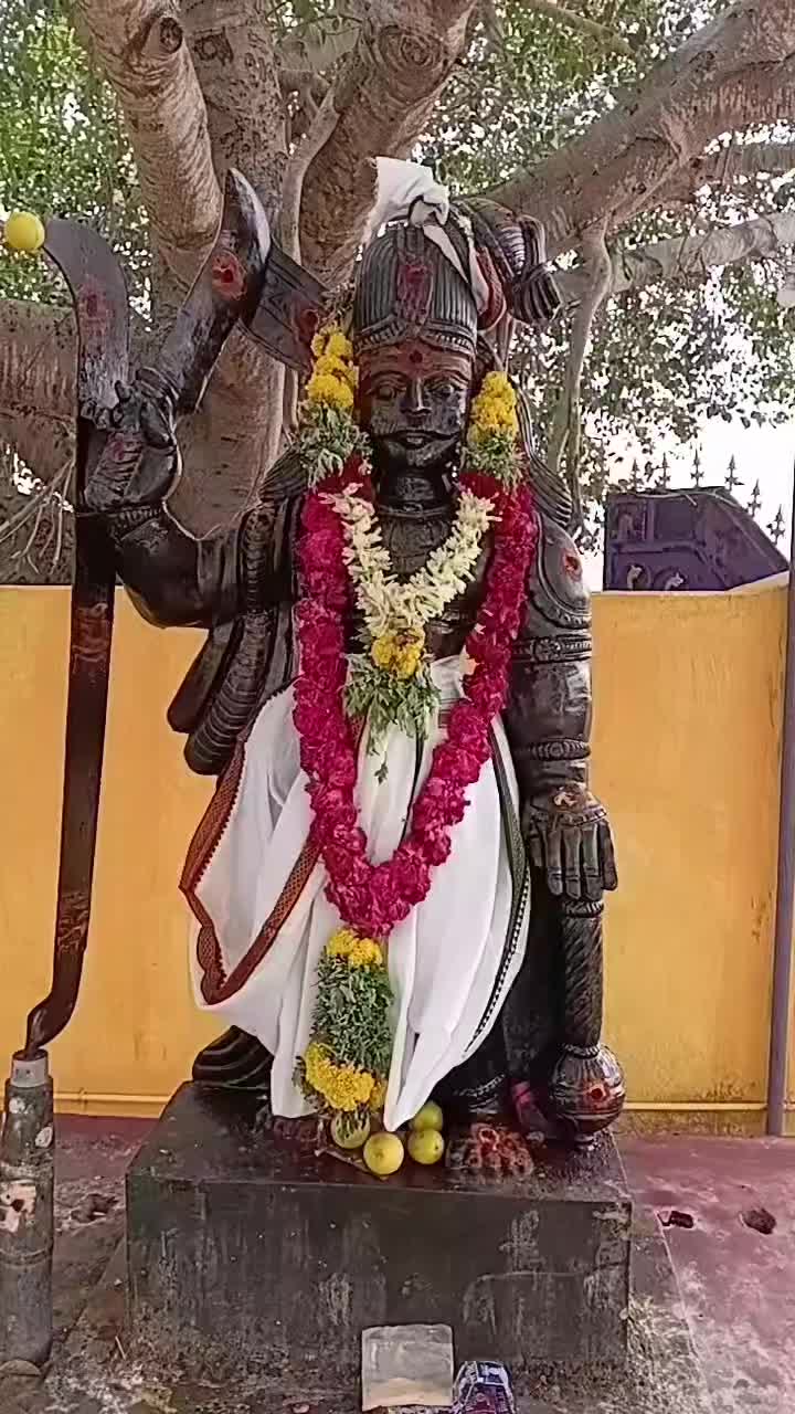 @பேப்பர் ஐடி 248 🌹1