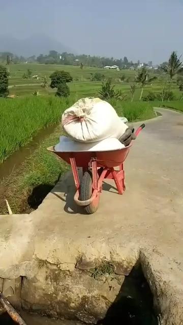 @Rajawali Sakti