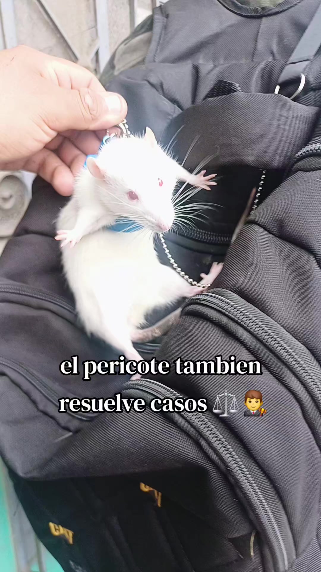 @EltioBaki