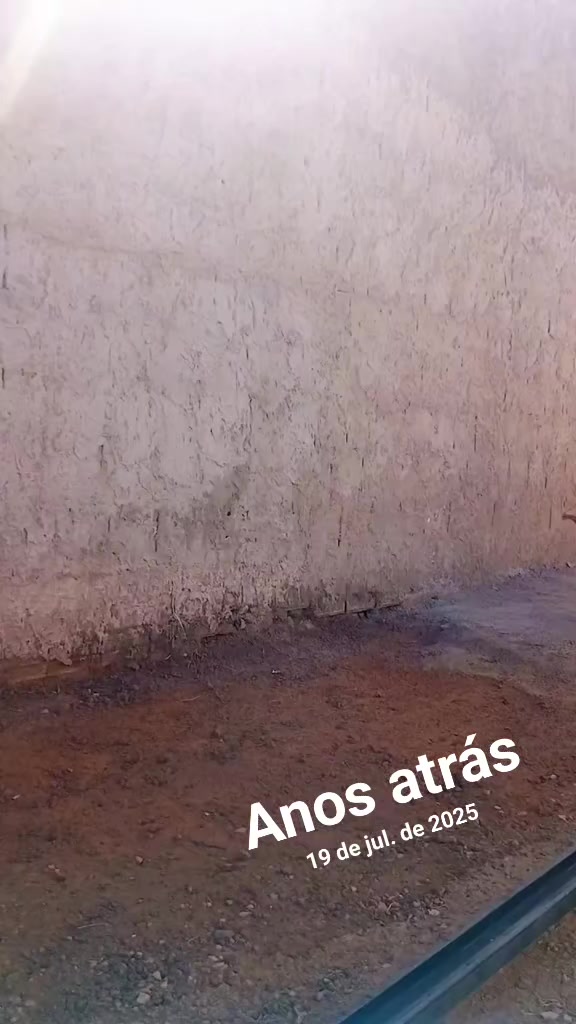 @Brendon Teles