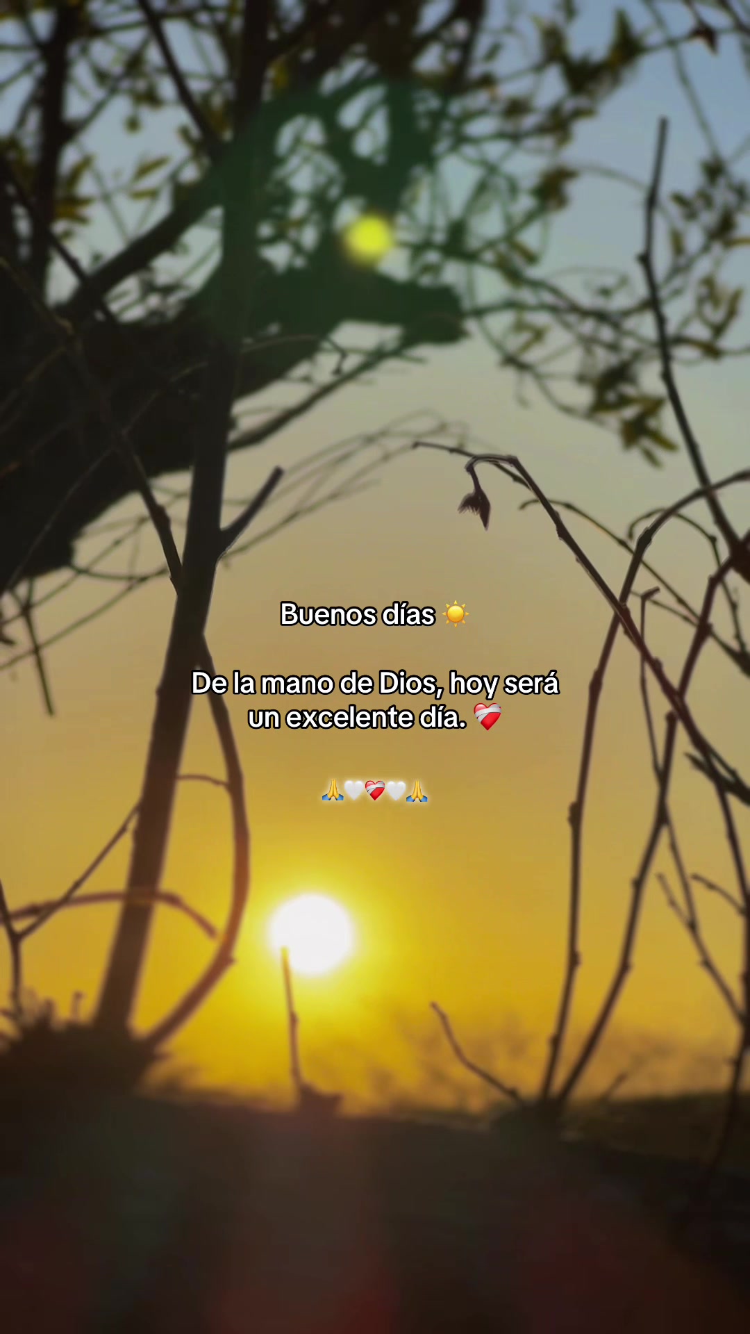 @๐ฅ๐
La naturaleza ๐๐