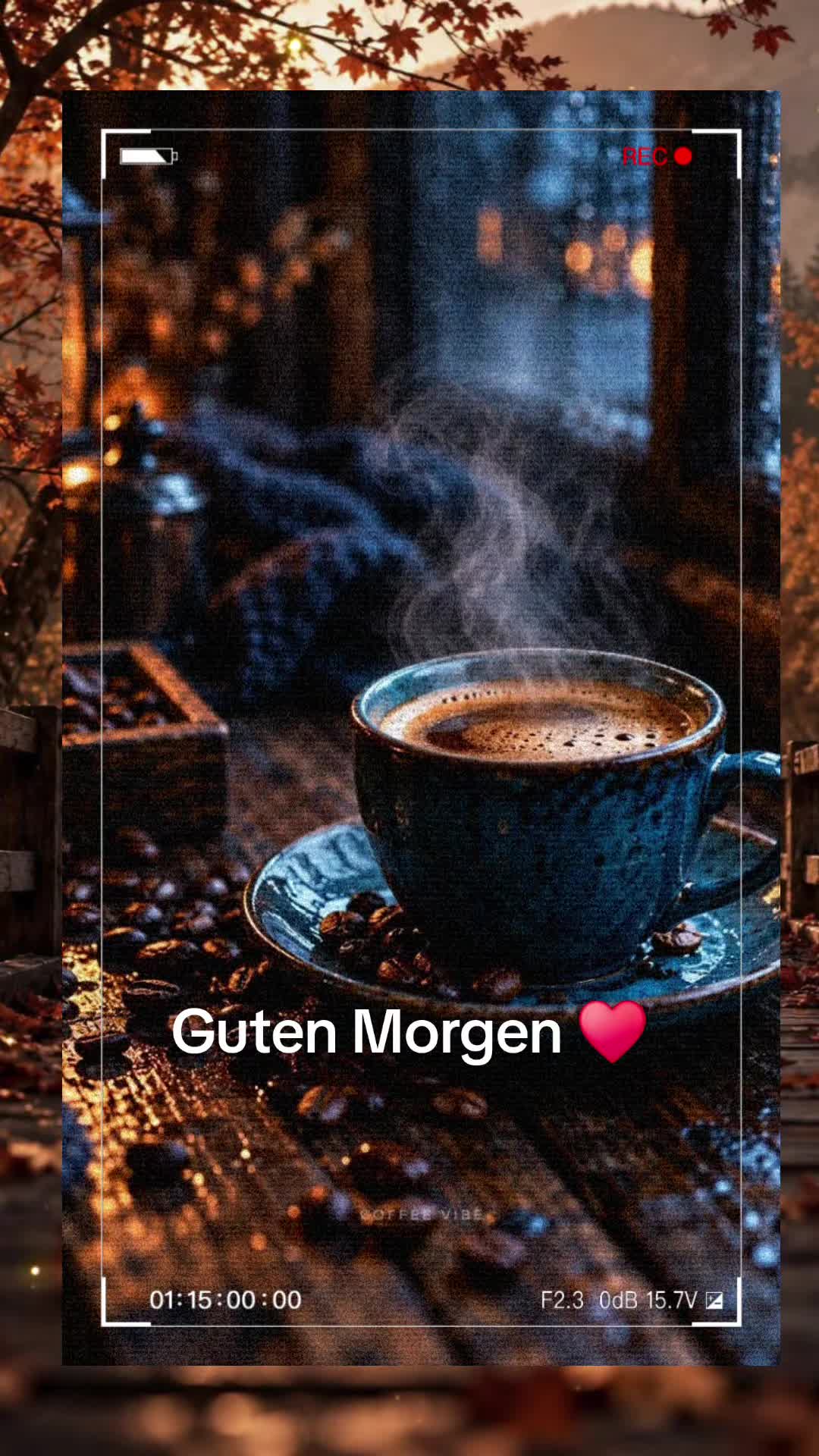 @Sonnenschein76🌞♥️