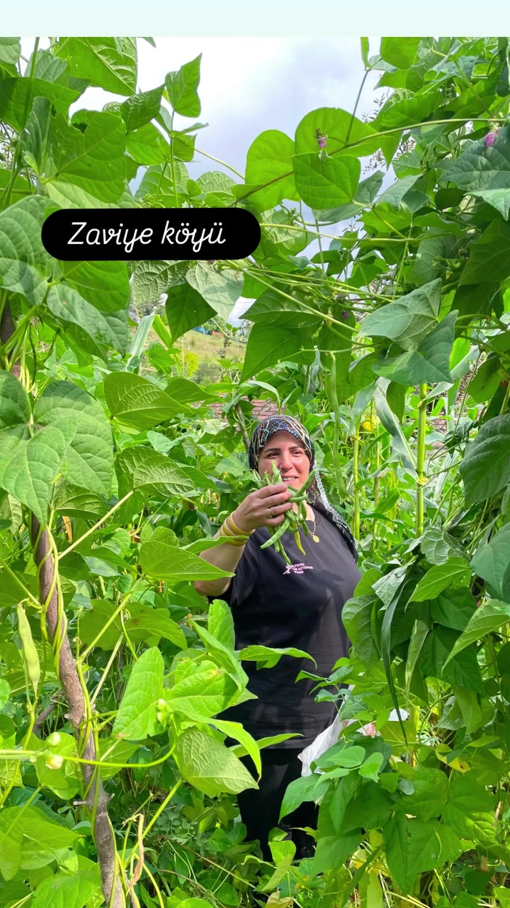@Gülcan Esma Gümüş
