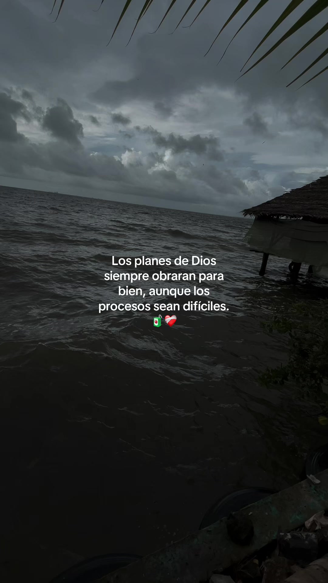 @Lusvin Montufar 🐙