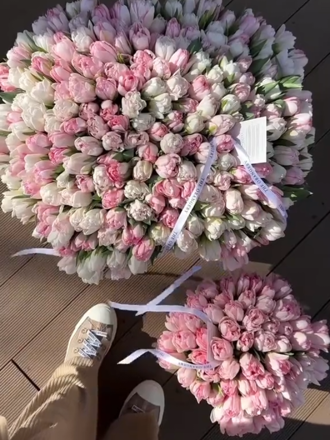 @pazin💐