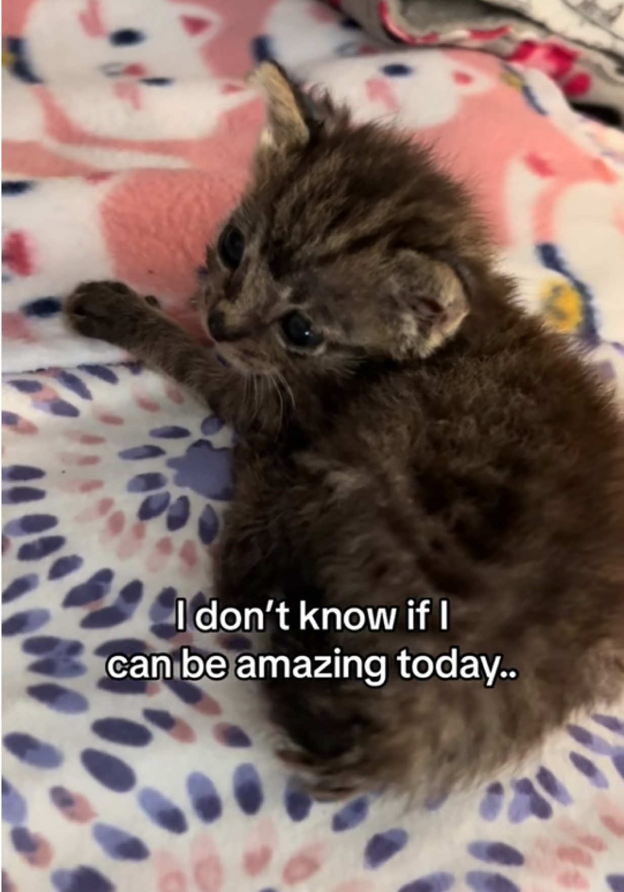 @Frankies_Fosters
