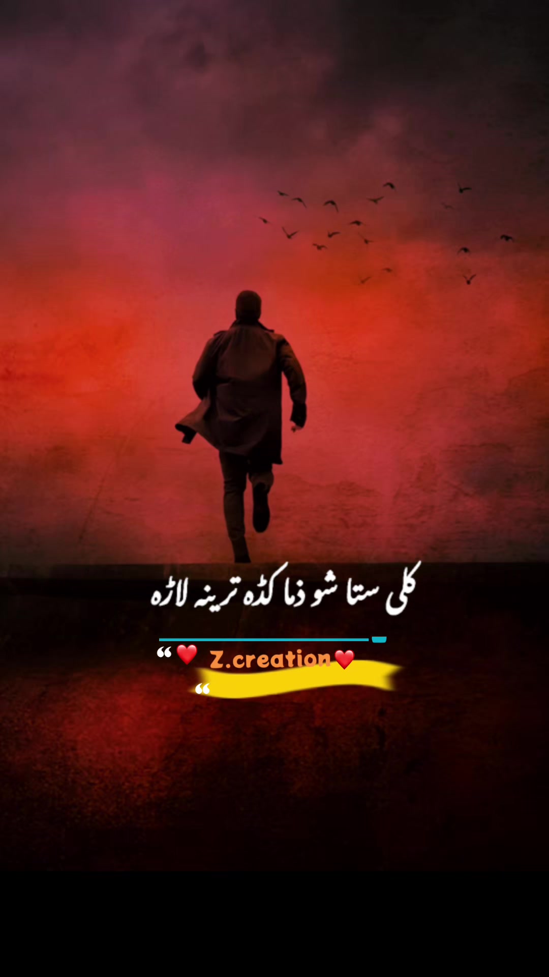 @Z. C R E A T I O N 🎥🎞️