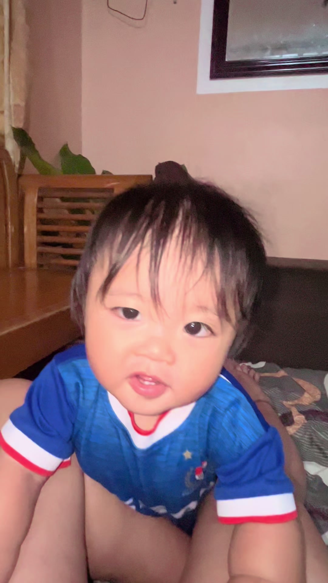 @jekjek