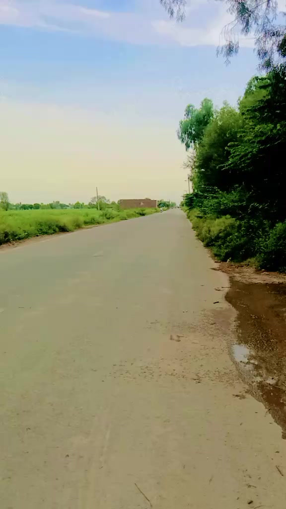 @😈استاد علی مانگوال آلہ 😈