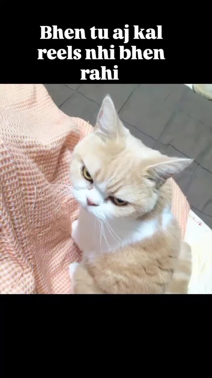 @فَاطِمہَ🪾