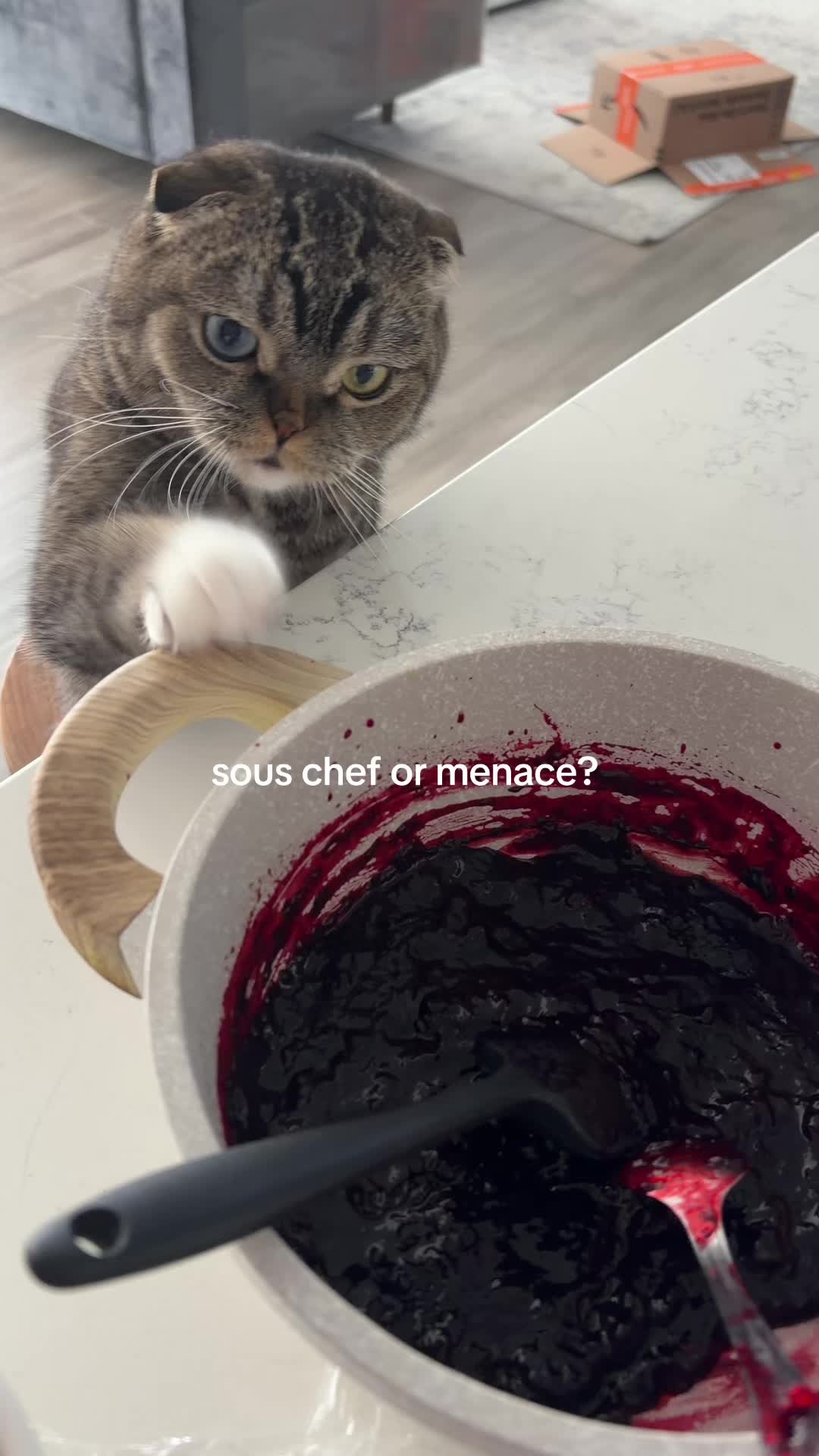 @bexxiez