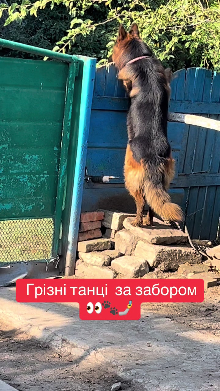 @Наташа Мазур.