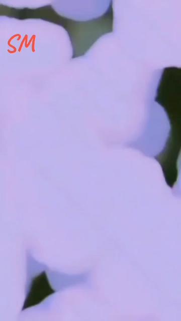 @𝄟✮͢🦋⃟≛⃝𝄟✮⃝ مریم🍁