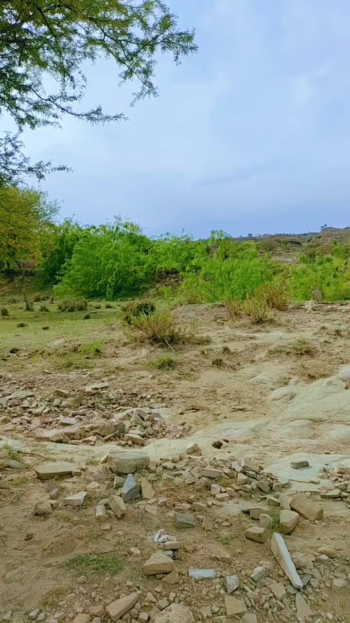 @نصرت