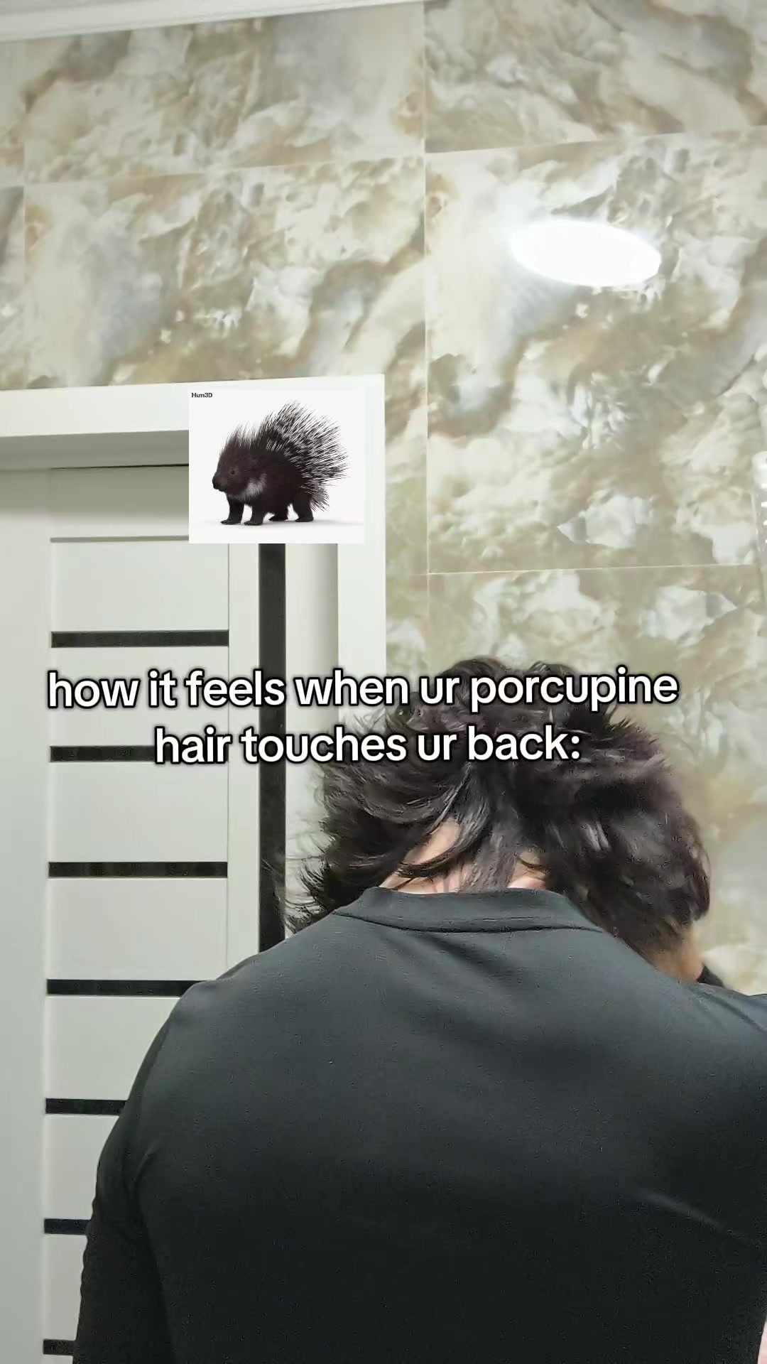 @namirunsharis