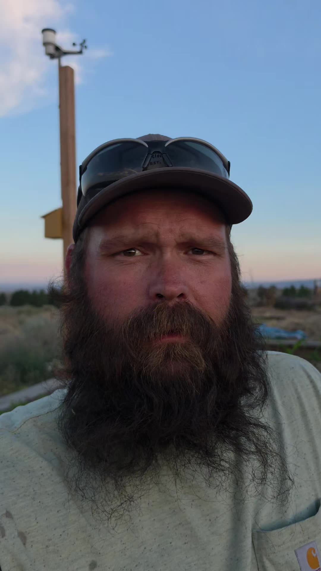 @thebeardedfamily1