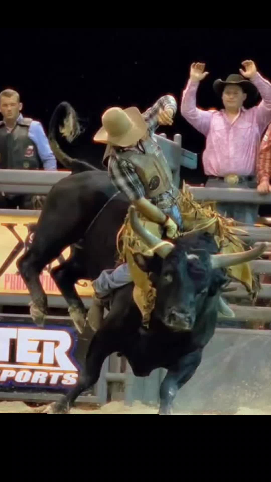 @RickyRingerDaBullStinger