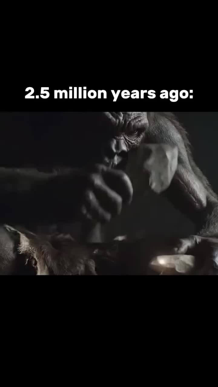 @𝐓 𝐇 𝐑 𝐀 𝐆 𝐆
