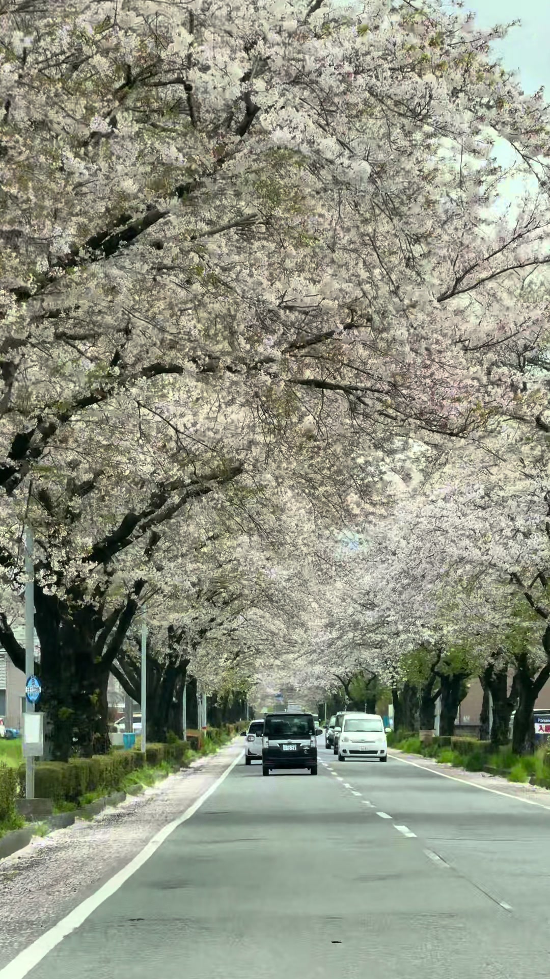 @甲山貴明 Takaaki Kohyama