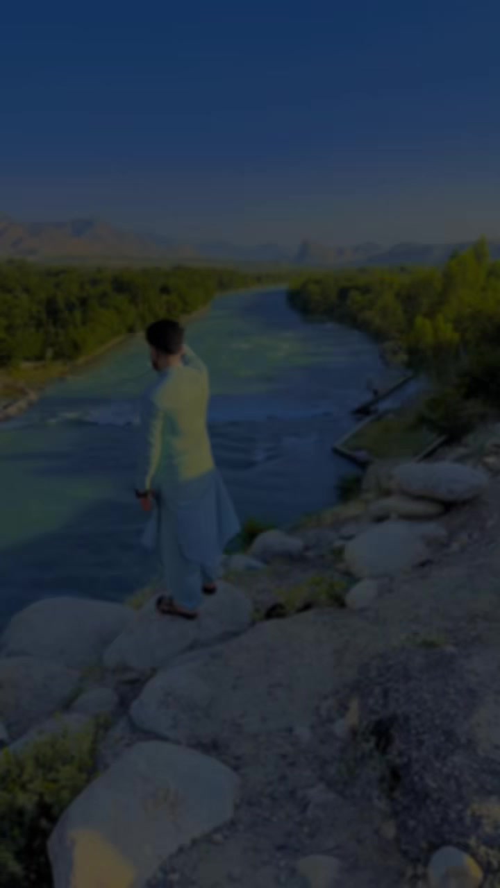 @Selab mohammadi