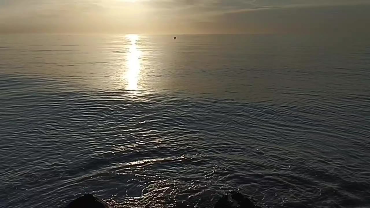 @𝓡𝓸𝓬𝓴𝓷𝓡𝓸𝓵𝓵𝓪