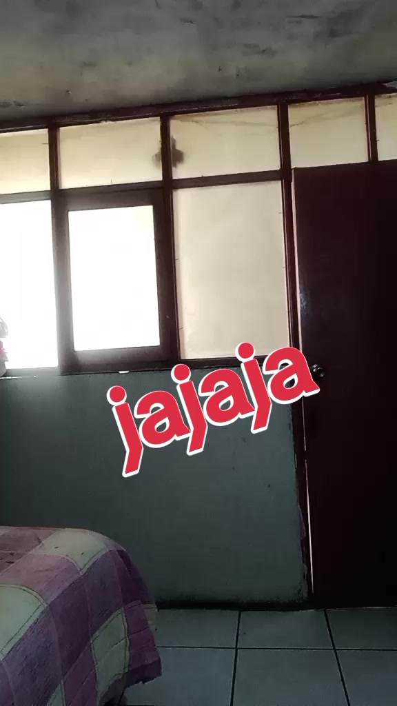 @domisalas_jimenez