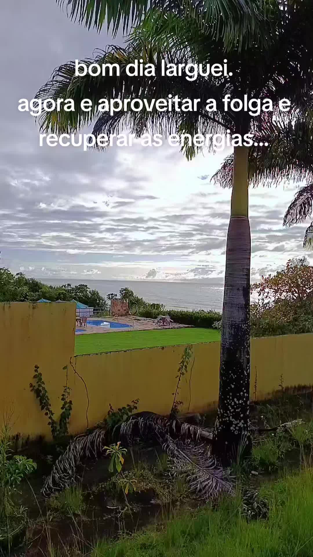 @Thiago Mineiro