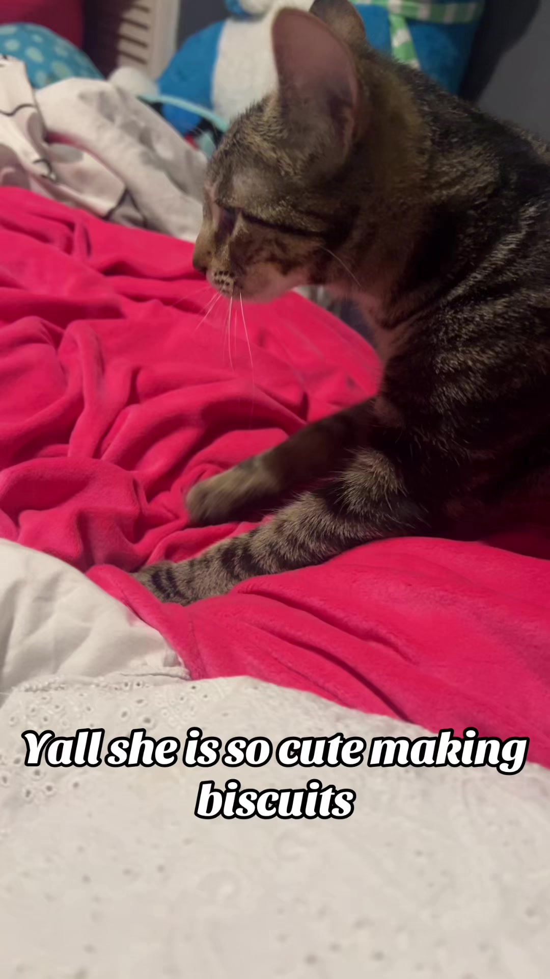 @Sabrina Tolba