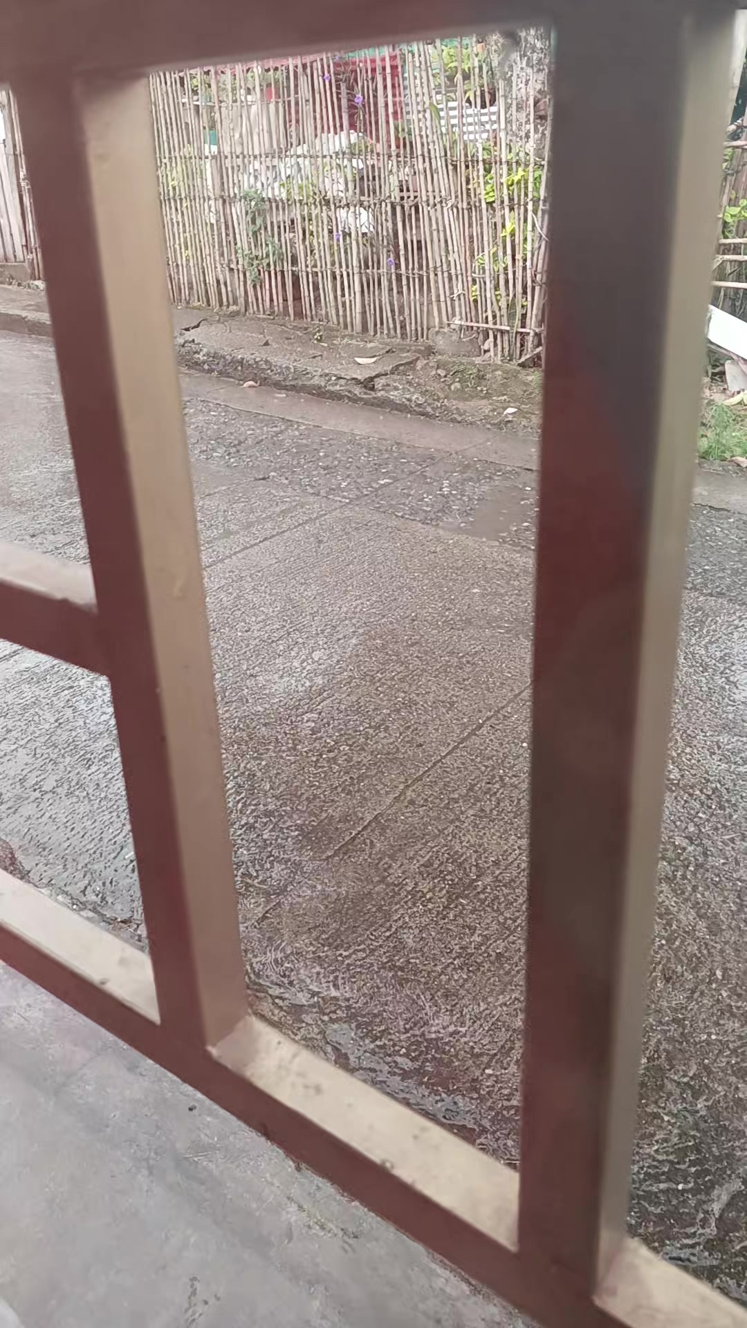 @Sirena Azul