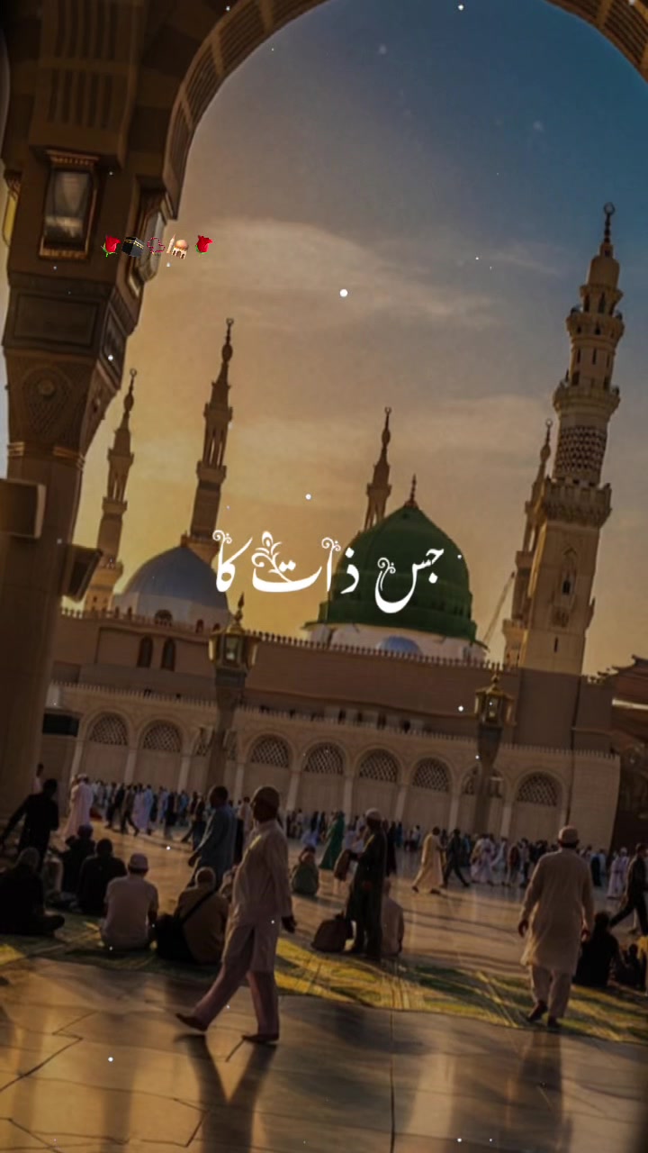 @Crazy King đ Sakib