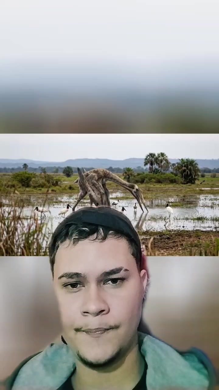 @pgklein