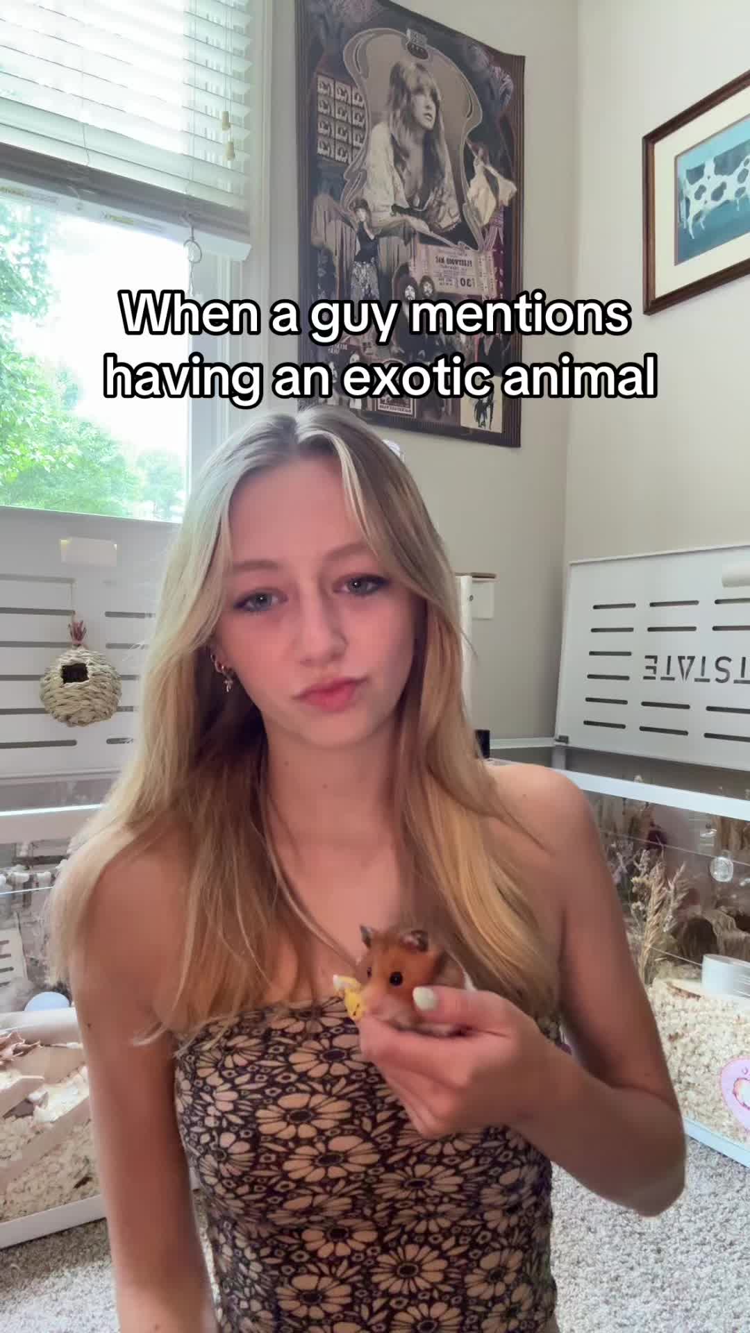 @thatweirdanimalgirl