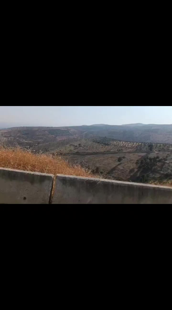 @عبدالرحمن عمر