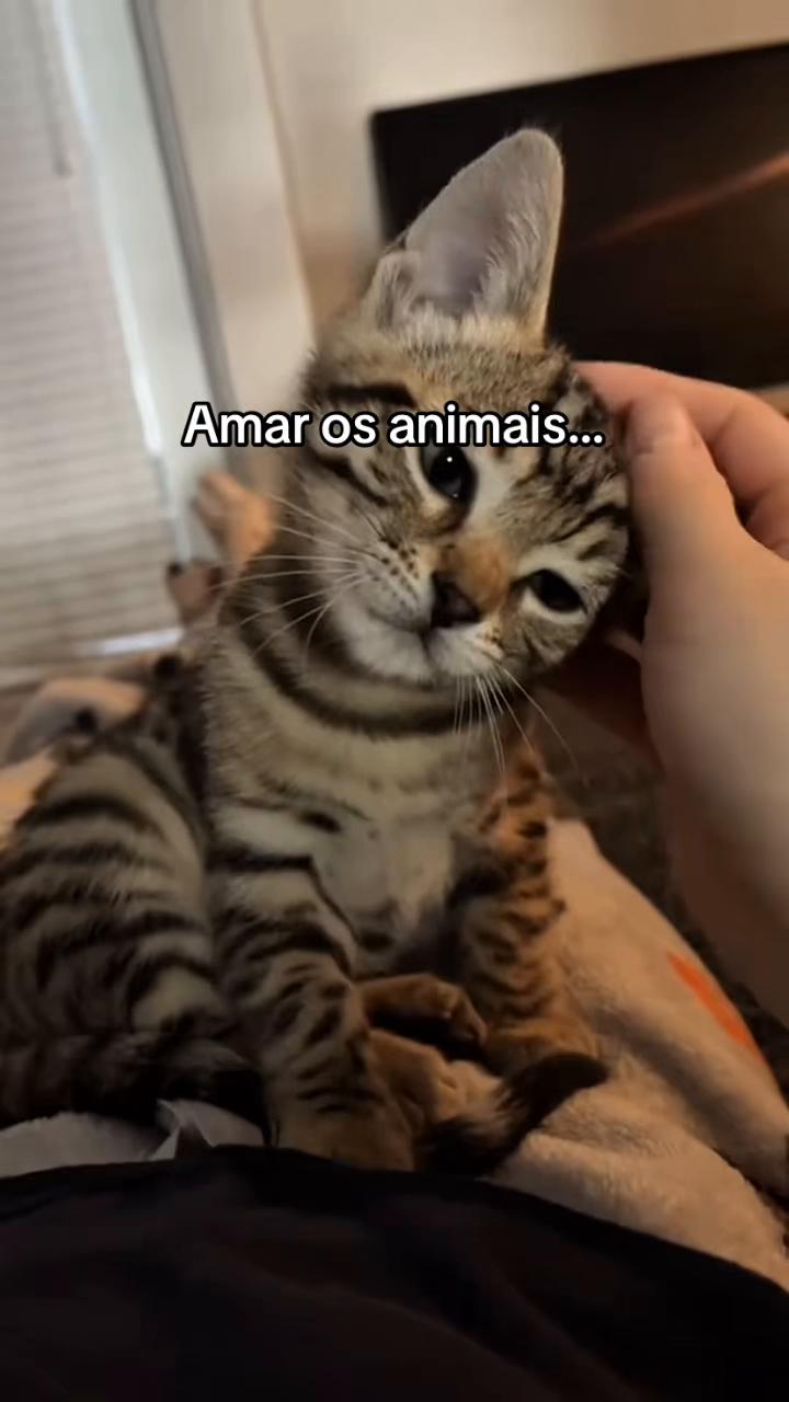 @Carne é cruel