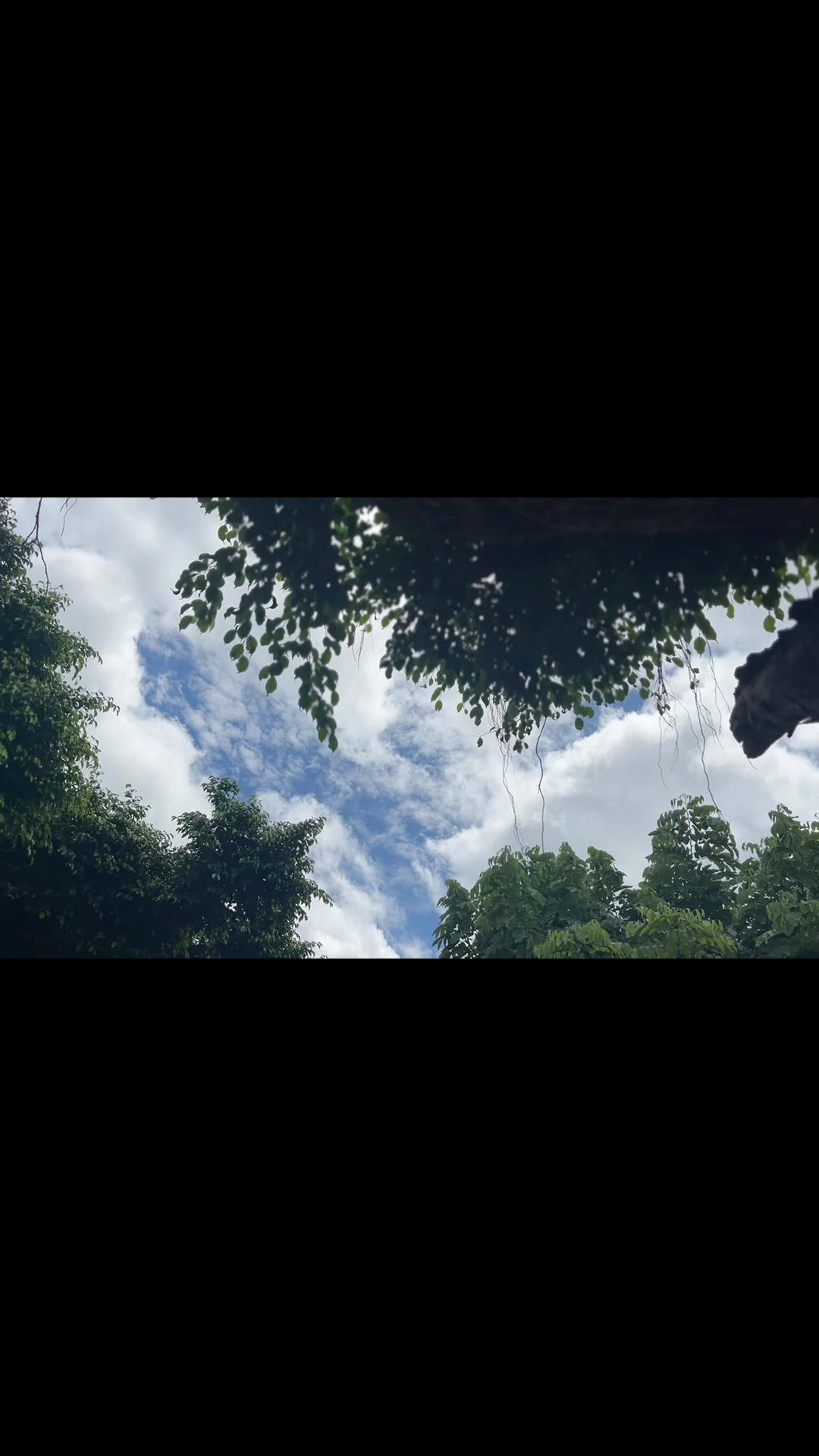 @𝒮𝑒𝓃𝑒𝓉𝒽