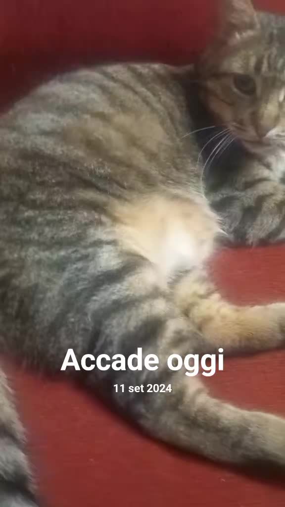 @Dany
