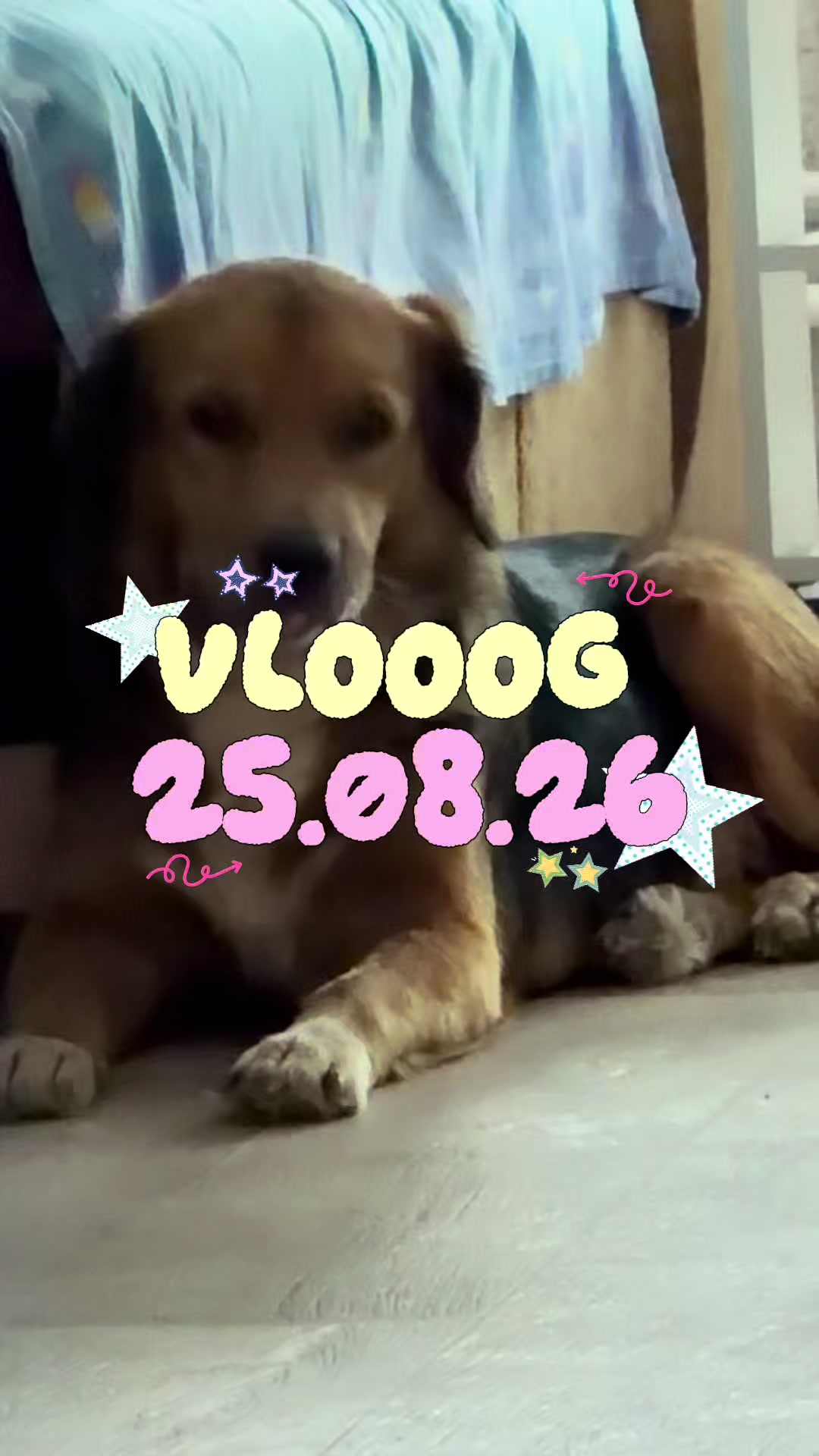@тгк: Waffle