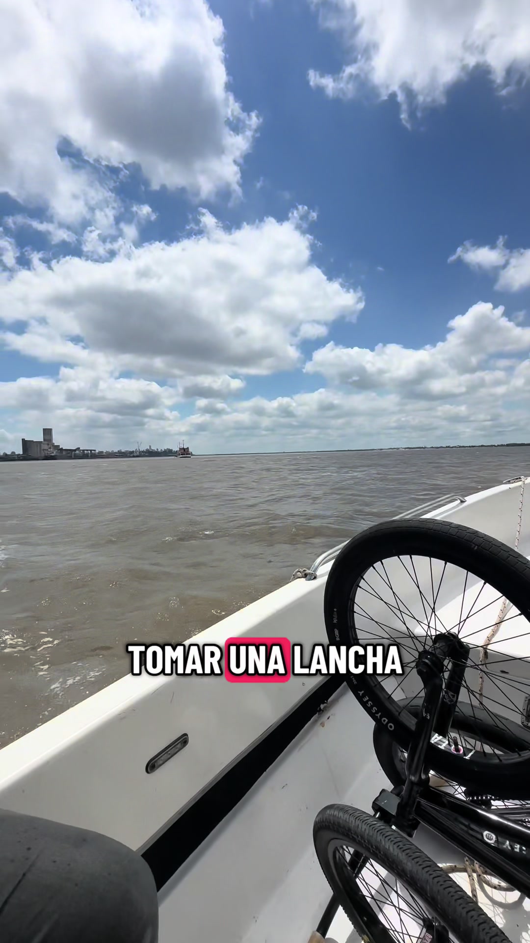 @gigiclear_