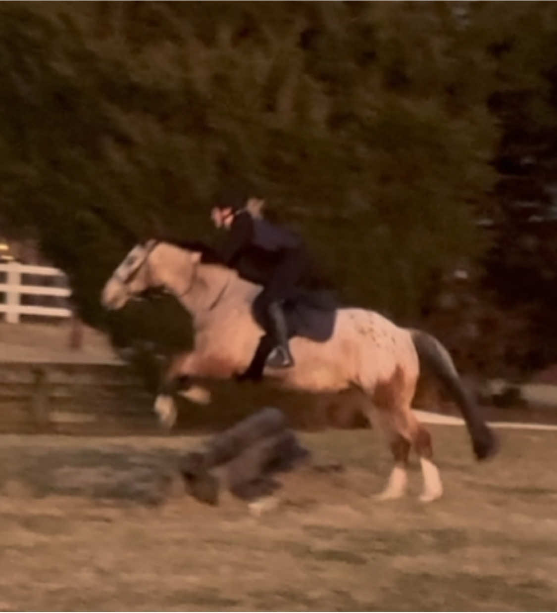 @Equestrian 🐴🐎