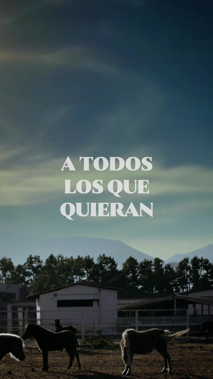 @Vicente Fern&aacute;ndez